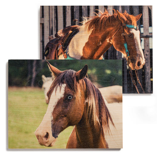 Horse photos prints on wood icon