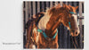 Horse photos prints on wood 1